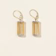 Two Tone Cage Earrings | For Cheap