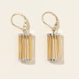 Two Tone Cage Earrings | For Cheap